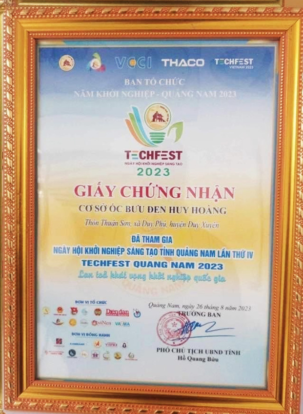 Giải thưởng 6